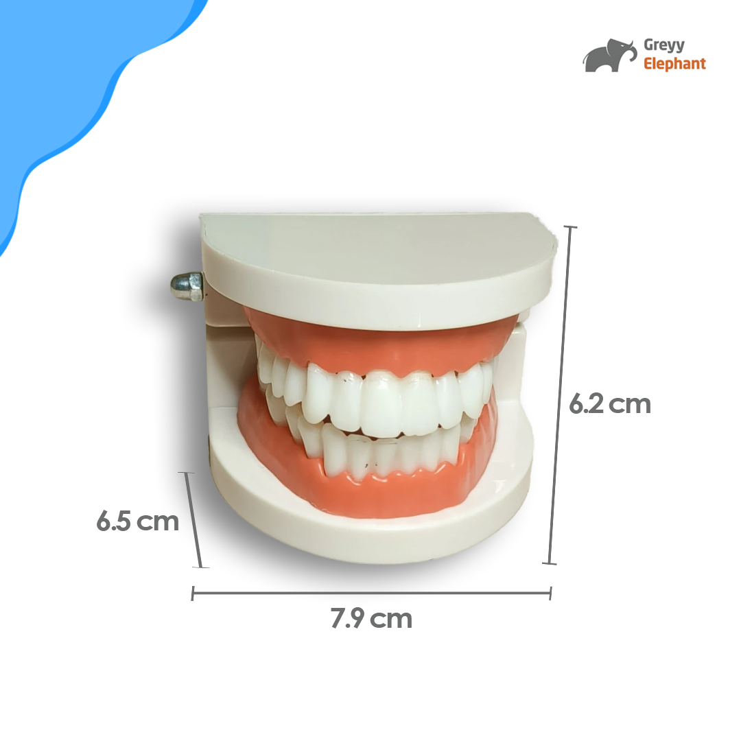 Dental Care Combo
