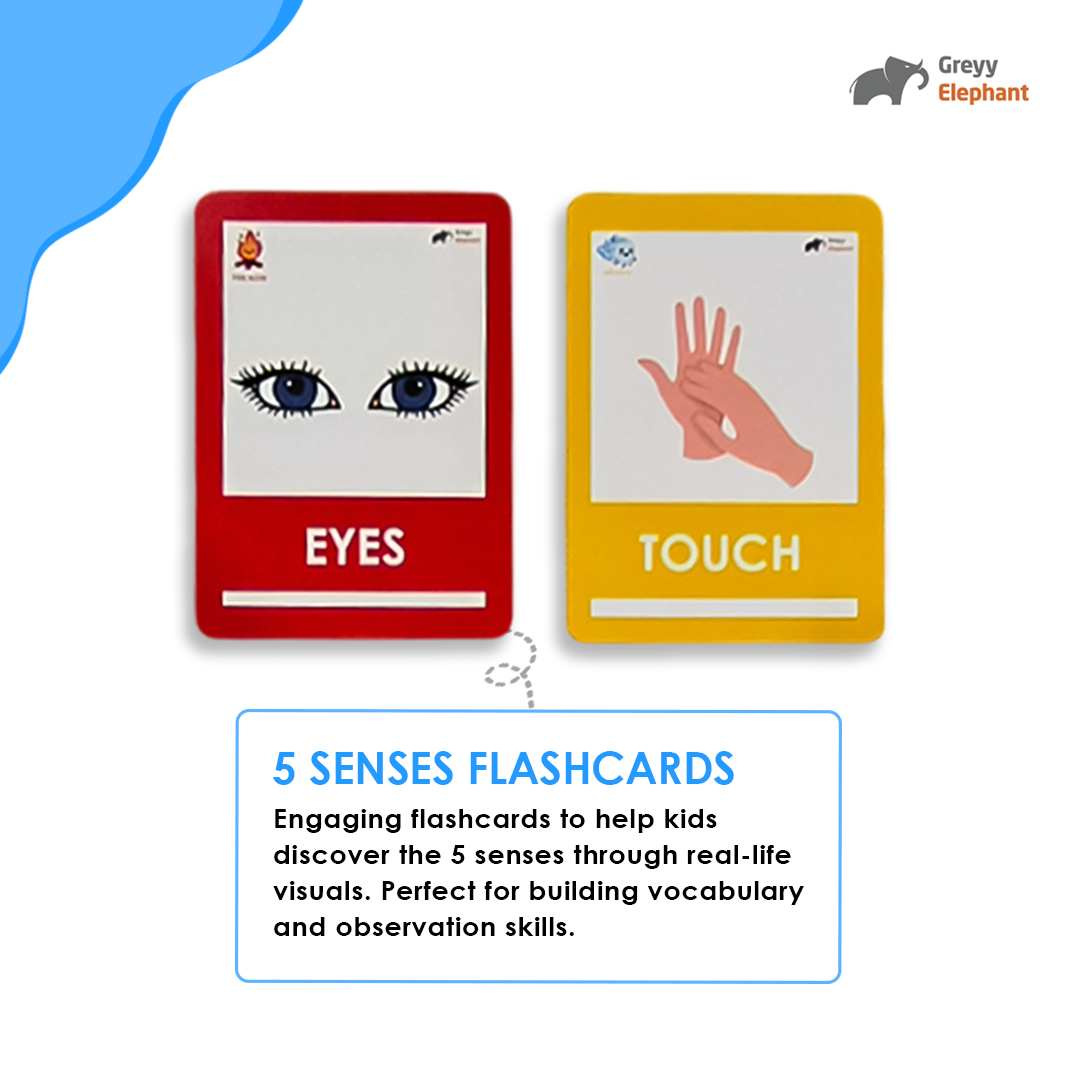 5 Senses Combo